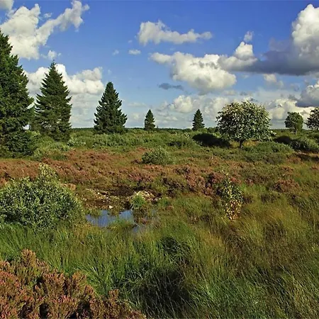 In With Roof Terrace, Garden, Bbq Gesves
