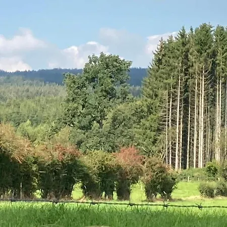 In With Roof Terrace, Garden, Bbq Alpehytte *