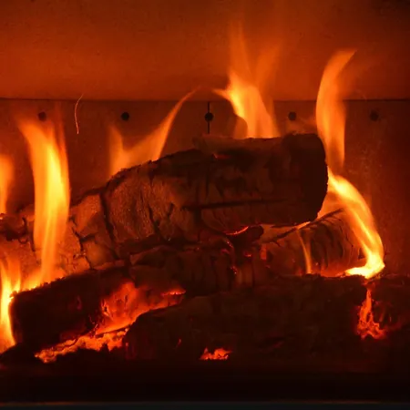 In With Roof Terrace, Garden, Bbq 木屋 Gesves