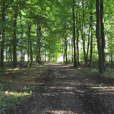 In With Roof Terrace, Garden, Bbq *
