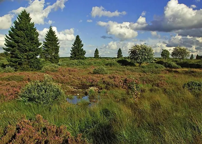 In With Roof Terrace, Garden, Bbq Gesves