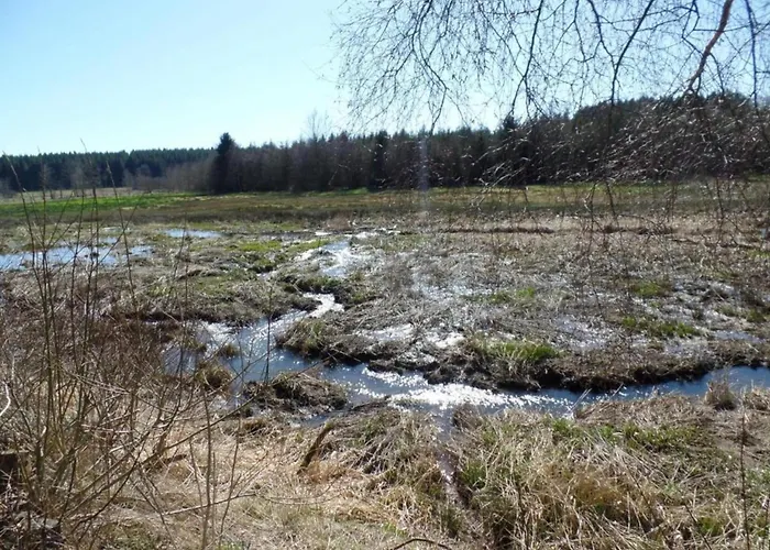Chalet In With Roof Terrace, Garden, Bbq