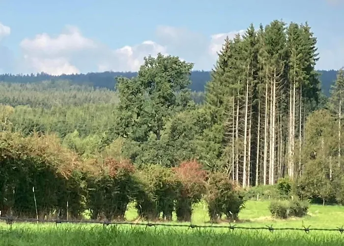 In With Roof Terrace, Garden, Bbq Chalet *