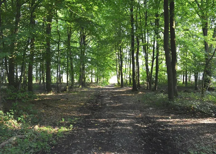 In With Roof Terrace, Garden, Bbq *
